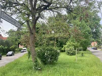 Idyllische Ferienwohnung in Potsdam