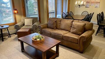 Smart TV, fireplace, DVD player, music library