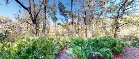 Jardines del alojamiento