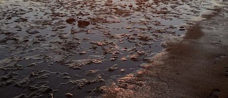 Nära stranden och solstolar