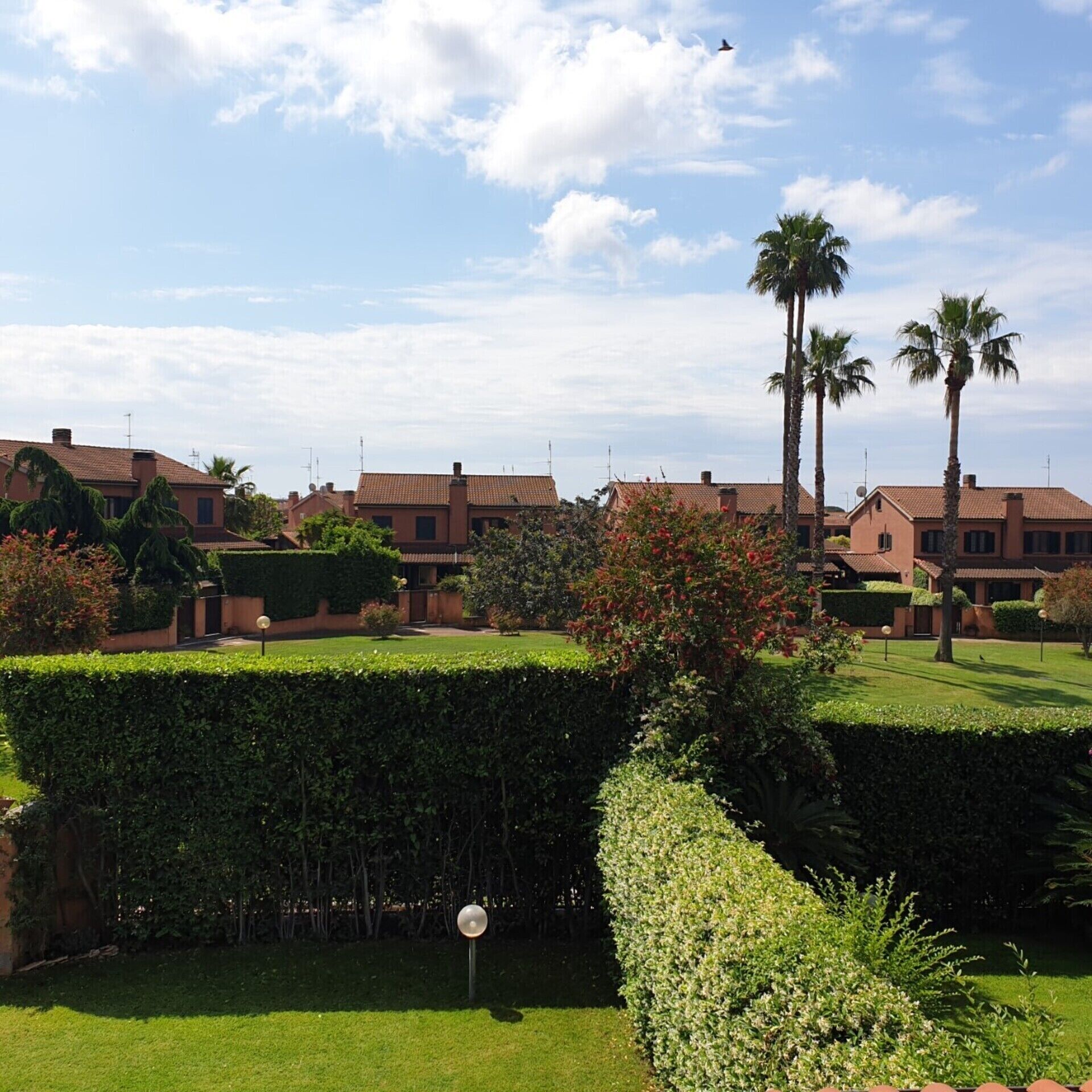 Un barrio residencial con casas, setos bien cuidados y palmeras.