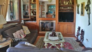 Un salon comprenant un canapé, une table basse, une cheminée et divers objets de décoration.