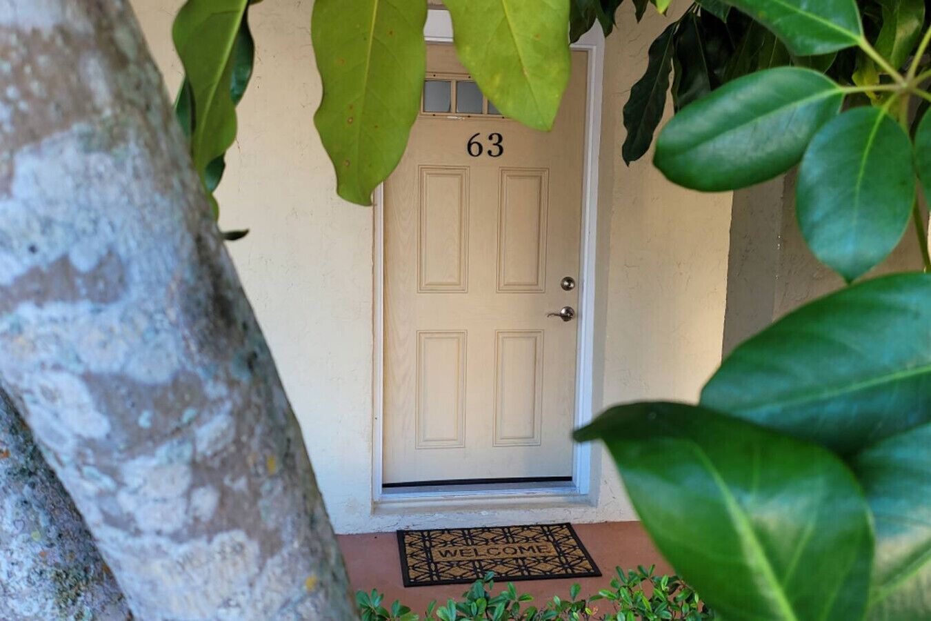 A beige door with the number 63, a doormat with "WELCOME" written on it, and a tree partially obscuring the view.