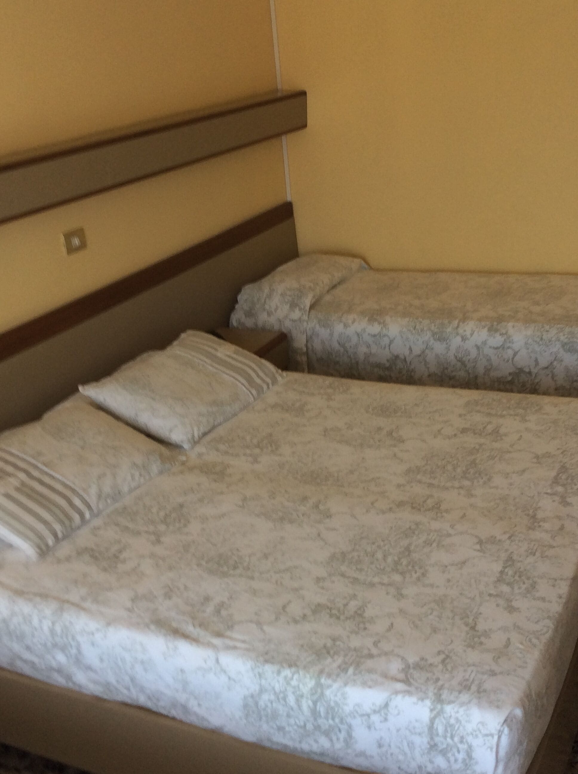 Een hotelkamer met twee bedden, elk voorzien van beddengoed met een patroon en een houten hoofdbord.