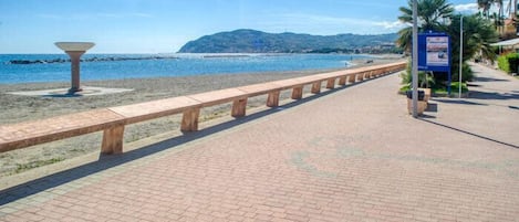 Un sendero pavimentado con un banco, una palmera y un letrero a la derecha.