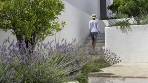 Eine Person geht eine weiße Treppe hinauf, mit Blick auf ein modernes Gebäude und einen Baum mit violetten Blüten.