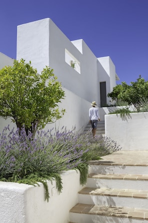 Terrein van de accommodatie