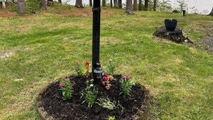 Un jardin avec un lampadaire noir, entouré d’un parterre de fleurs, d’un petit étang et de grands arbres en arrière-plan.