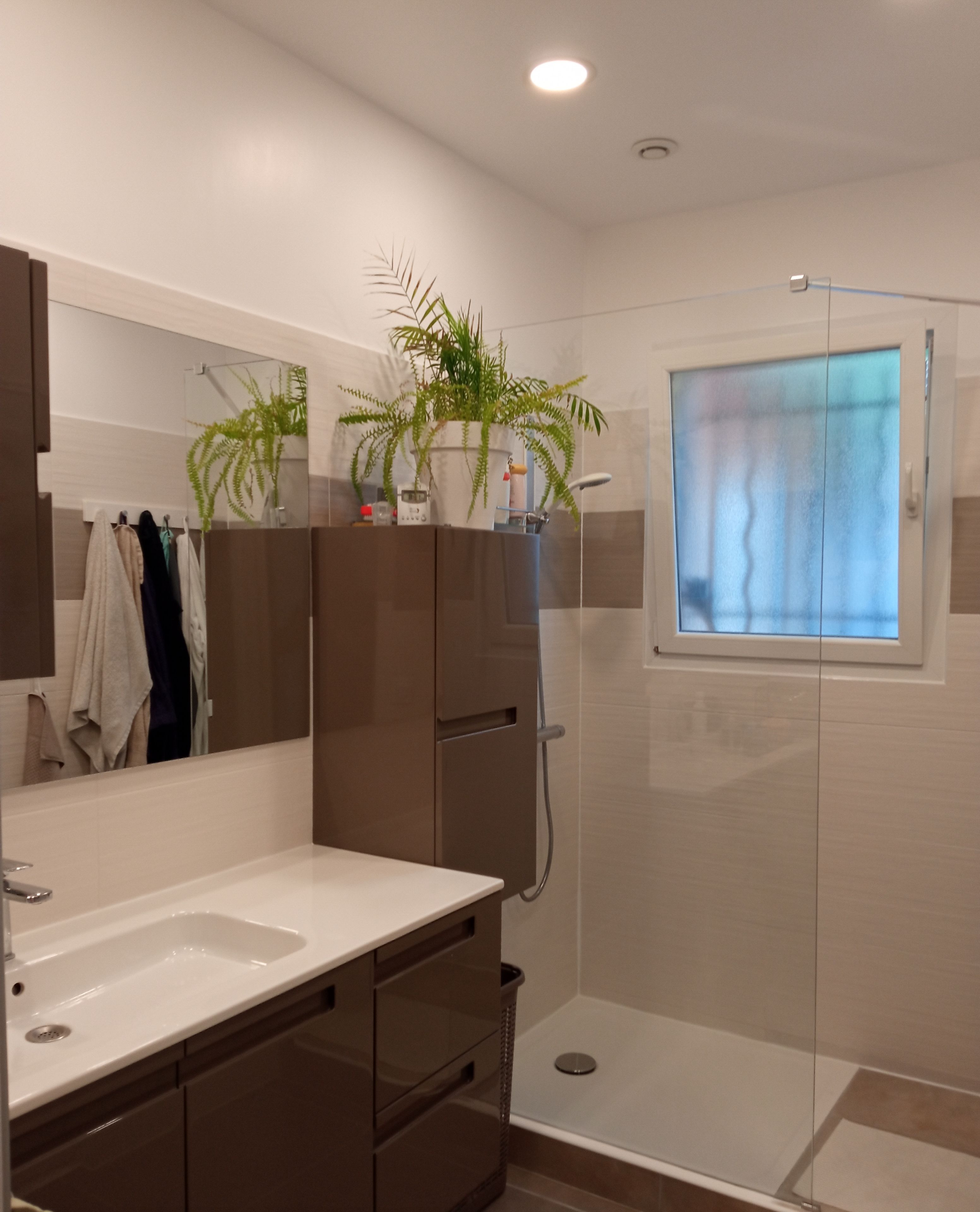 A modern bathroom with a glass shower enclosure, a large mirror, and a potted plant on the vanity.