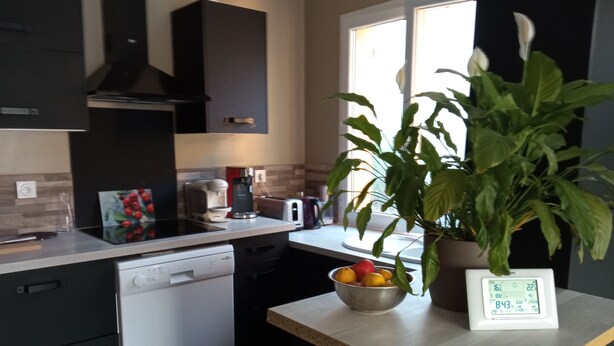 Una cocina moderna con lavavajillas, cafetera, frutero, planta en maceta y termómetro digital.