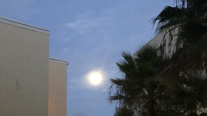 Un edificio con balcón que da a una playa y al océano, con una palmera en primer plano.