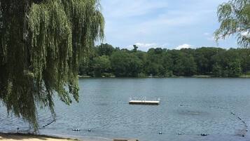 Plage à proximité, chaises longues, serviettes de plage