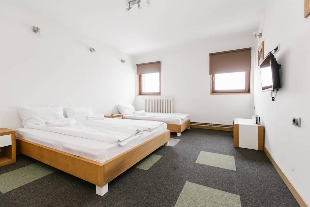 Standard Triple Room | 1 bedroom, Egyptian cotton sheets, premium bedding, minibar