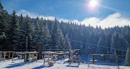 Hotel Rtanj Kopaonik