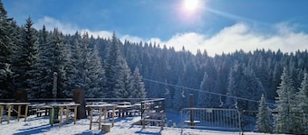 Hotel Rtanj Kopaonik