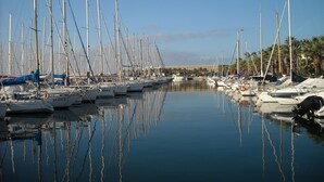 A marina with numerous sailboats docked along the water's edge, surrounded by palm trees. - Casa il Ciliegio (Terzorio)