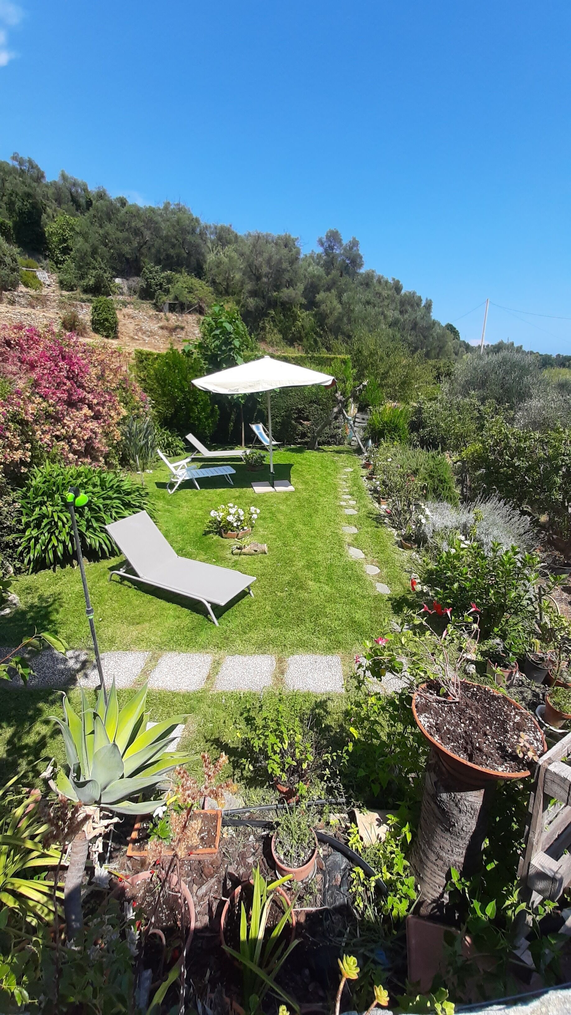 A garden with a lawn, potted plants, and outdoor furniture.