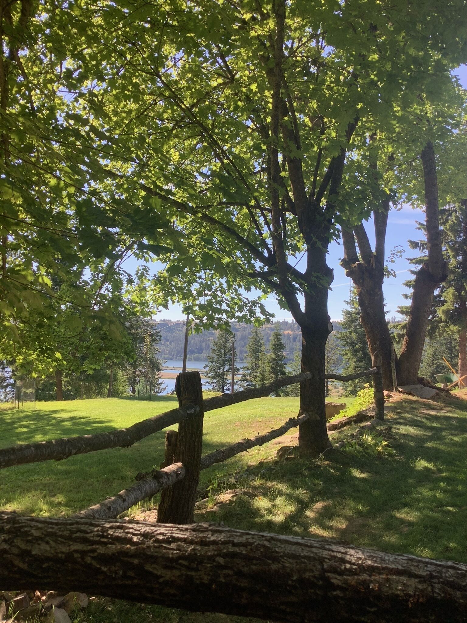 Ein mit Gras bewachsenes Gelände mit Bäumen und Blick auf einen See.