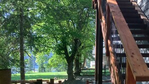 A wooden staircase leading to a covered area with a gravel path and trees. - Gorgeous guest house, mature setting, 1 minute to the lake. (Harrison)