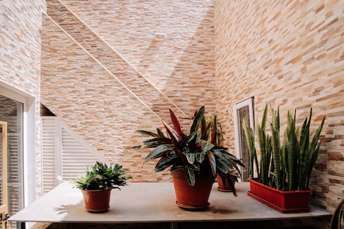 Comfort Double Room | Terrace/patio