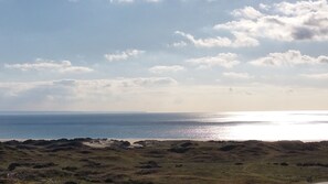 Playa en los alrededores y camastros 