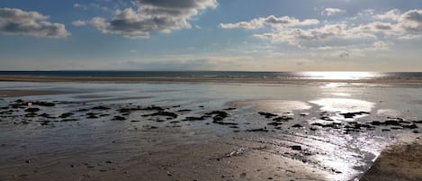 Playa en los alrededores y camastros