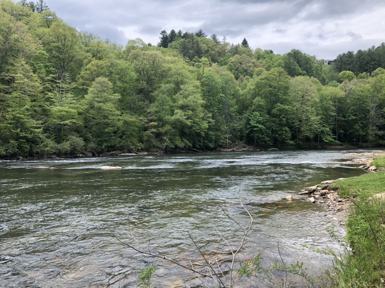 Une rivière qui traverse une zone boisée, caractérisée par une végétation dense et des berges rocheuses.