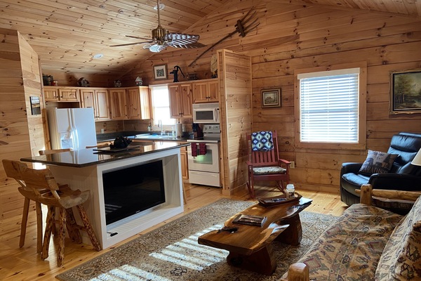 Televisor intel·ligent i llar de foc