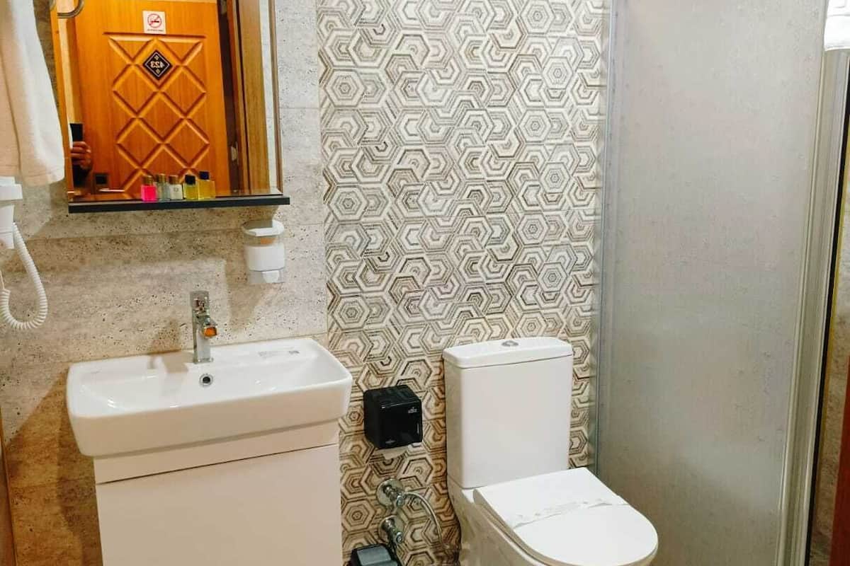 shower, free toiletries, hair dryer, slippers