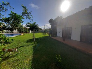 Un jardin avec une piscine, un petit arbre et un chien.