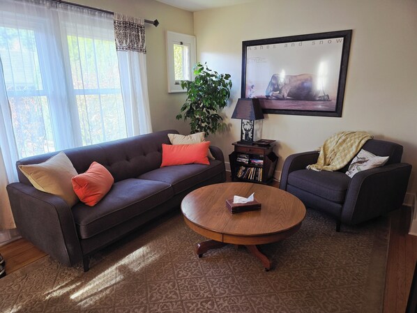 Smart TV, fireplace, DVD player, books