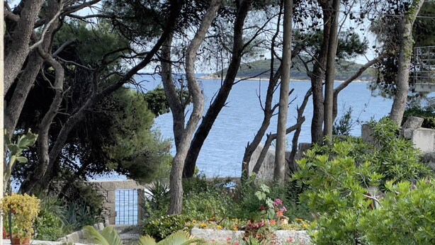 Un jardín con diversas plantas y árboles, un muro de piedra y vista al mar.