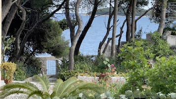 Premium-huoneisto, 1 keskisuuri parisänky ja vuodesohva | Näkymä rannalle/valtamerelle