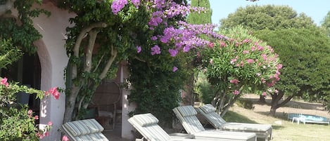 Terrein van de accommodatie