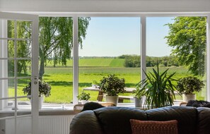 TV, fireplace, stereo - Pet friendly home in Branderup J (Branderup J)