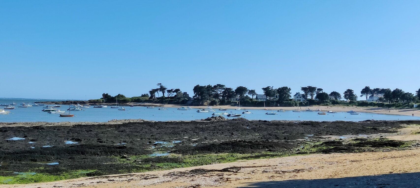 Zona costera con barcos, costas rocosas y una hilera de árboles.