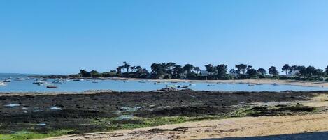 Zona costera con barcos, costas rocosas y una hilera de árboles.