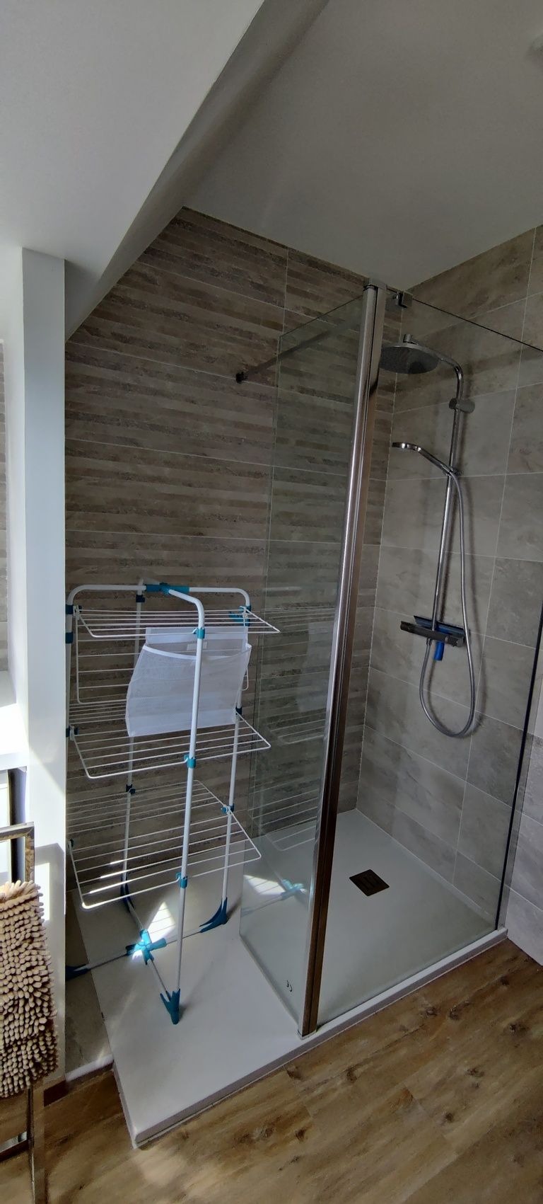 A modern shower area with a glass door, a metal drying rack, and a showerhead.