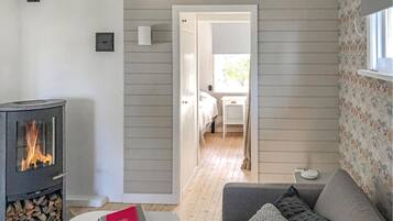 Televisión y chimenea