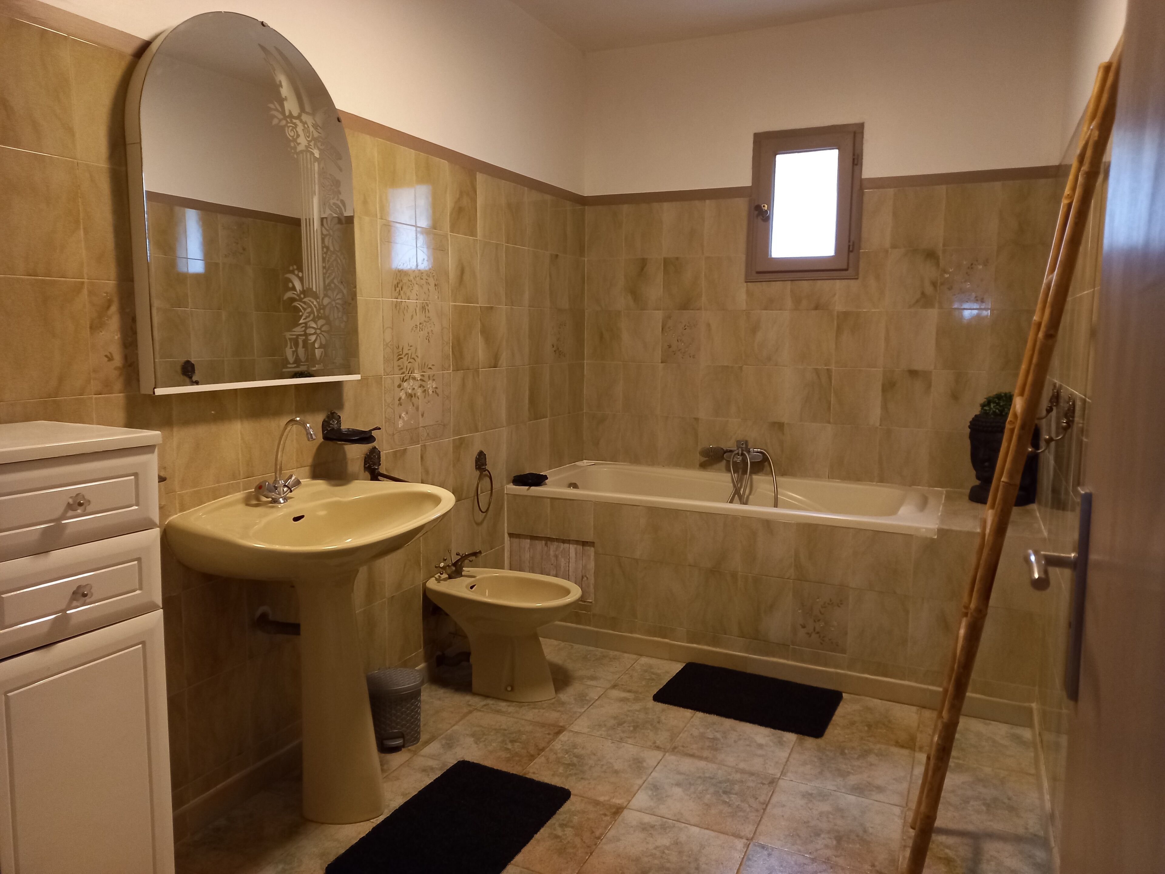 The pine forest of the soil