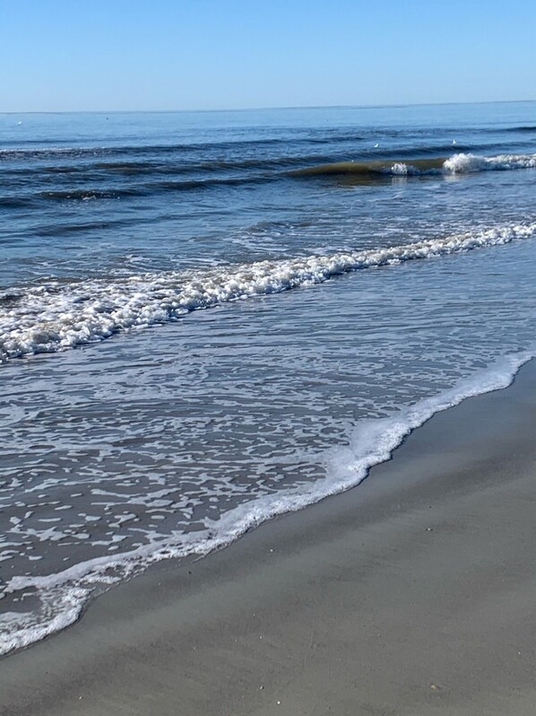 Beach nearby, sun-loungers