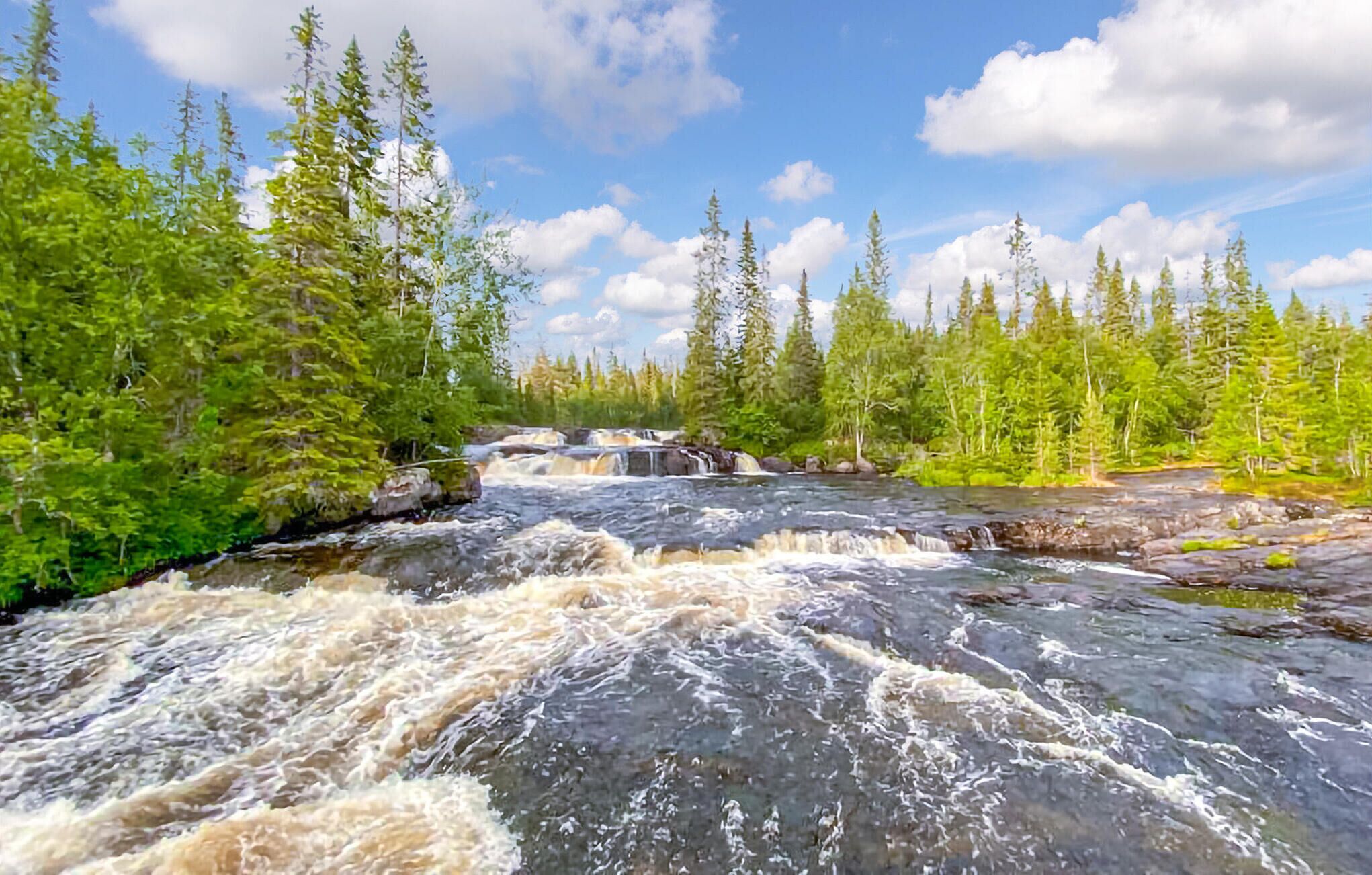 A river flowing through a forest with a waterfall.