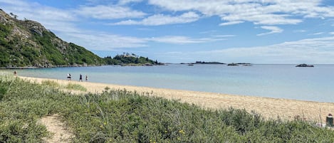Playa en los alrededores y pesca