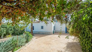 A paved courtyard with a white building featuring blue accents, surrounded by greenery and a pergola with grapevines. - Lovely home in Casariche (Casariche)