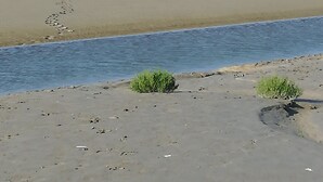 A beach with a large building in the distance, a sandy shore, and a body of water. - Studio Terre & Mer à Dragey (Dragey)