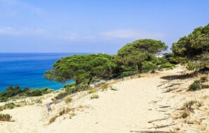 Un sentiero costiero con alberi e vista libera sul mare.