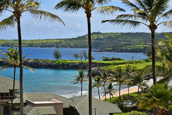 A coastal view with a clear sky, palm trees, and a beach.