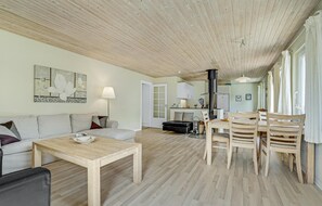 Fernseher, Kamin