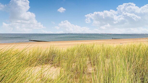 Een strand met zand, gras en een heldere lucht.