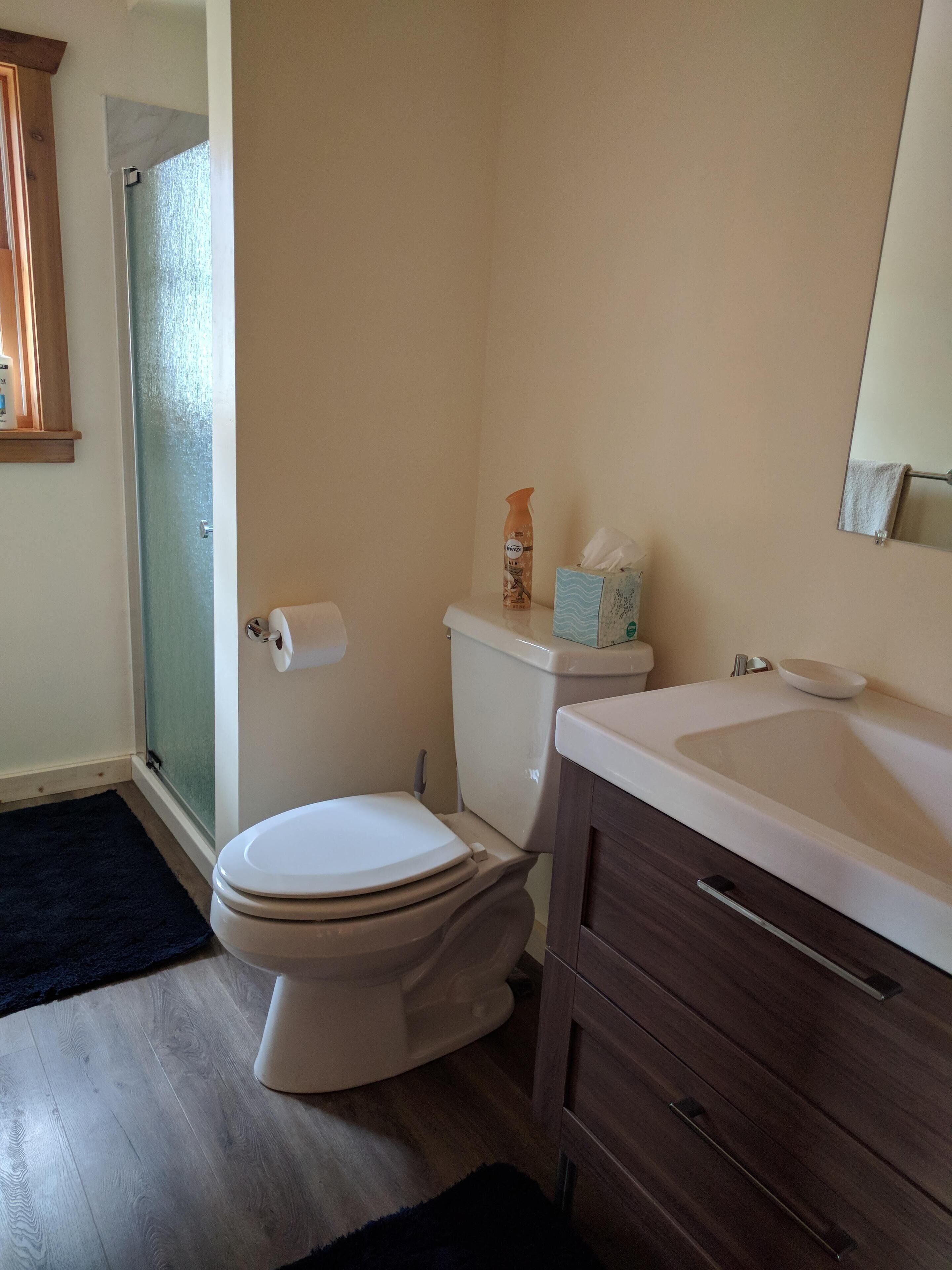 Een badkamer met toilet, wastafel, spiegel en douche.